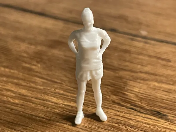https://makerworld.bblmw.com/makerworld/model/USb5059ed831648c/design/2025-03-13_782797ba4a8c7.jpg
