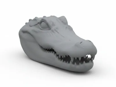 Aligator Head 