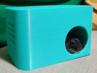 hamster house