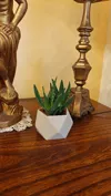 Small pot with drainage holes