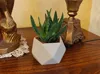 Small pot without drainage holes