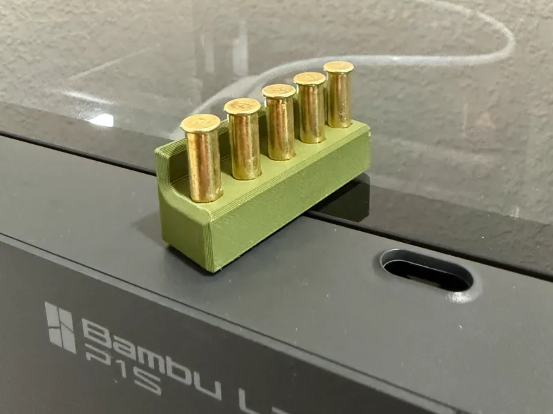22lr bullet caddy