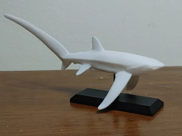 https://makerworld.bblmw.com/makerworld/model/USb51290457fb356/design/2025-02-06_f06ce9faec56d.jpg