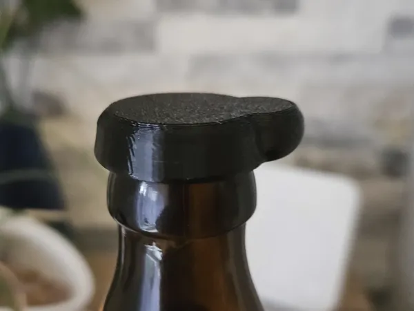 https://makerworld.bblmw.com/makerworld/model/USb5191e098d399/design/2024-05-19_81acc21b6723a.jpg