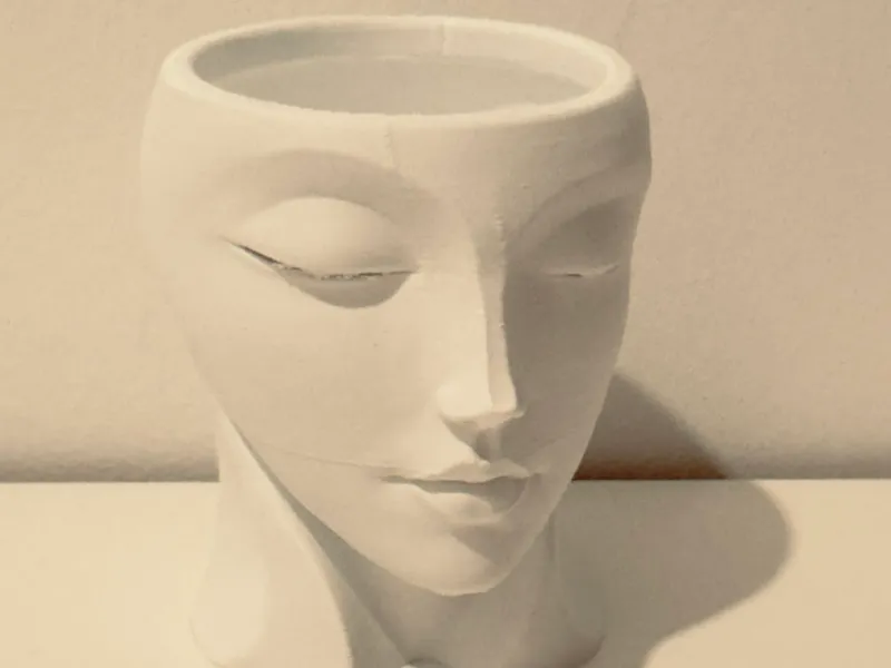 Mini Woman Face Planter