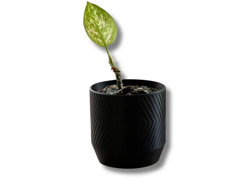Plant Pot with internal raised drip tray V1
