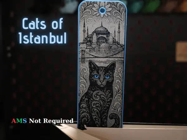 https://makerworld.bblmw.com/makerworld/model/USb520a53783438f/design/2025-07-21_13867d695cb6d.png