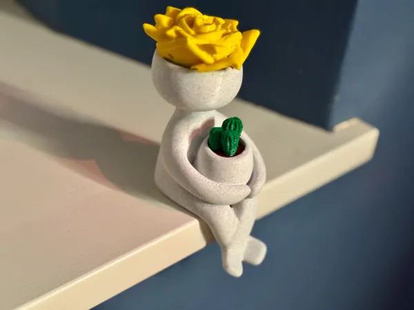 https://makerworld.bblmw.com/makerworld/model/USb5224f35933869/design/2025-01-30_d527fdeb76f1c.jpg