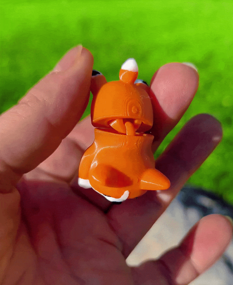 Flexi Corgi – Dual Nozzle Test