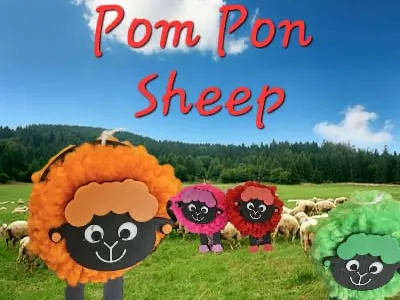 Pom Pon Sheep