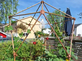 Geodesic D20 Dome