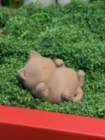 翻肚皮小猫
