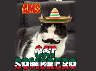 CAT SOMBRERO - FUNNY HAT FOR CAT AMS