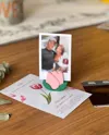 Tulipan