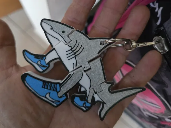 https://makerworld.bblmw.com/makerworld/model/USb538abd9d8a8b0/design/2025-05-26_a8b877352500e.jpg
