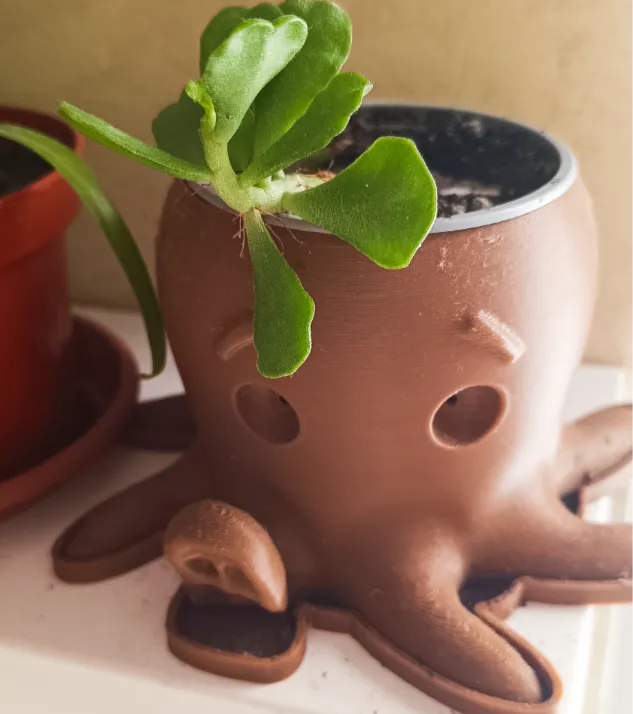 octopus vase