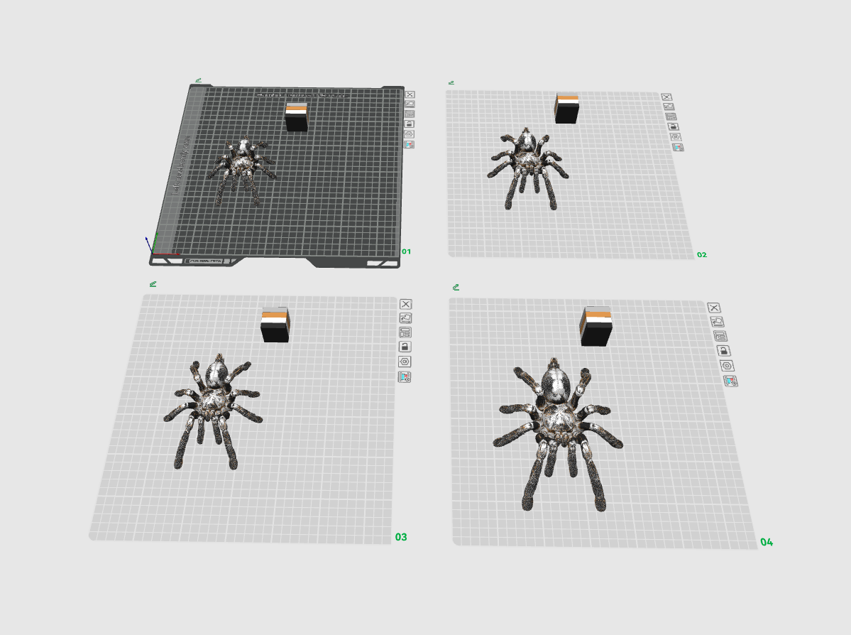 Ornamental Tarantula - 1