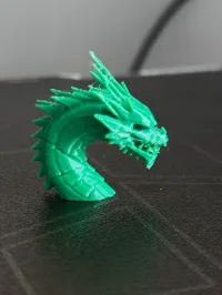 Tête de dragon — photo 3