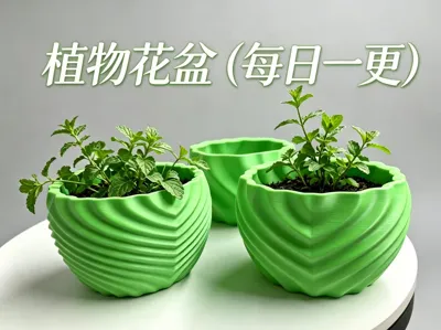 Plant Pot (Daily Update)