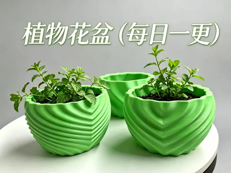 植物花盆 （每日一更）