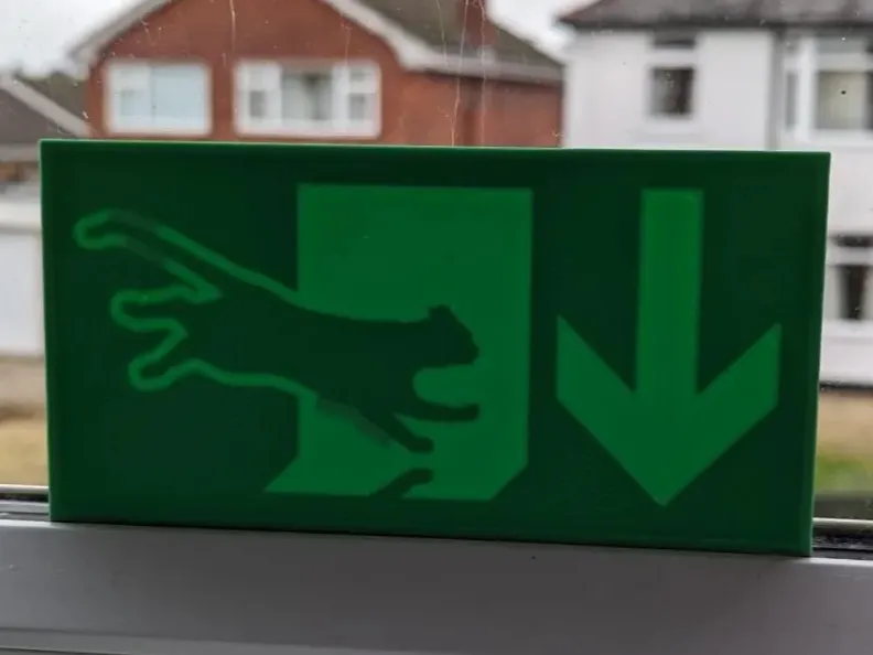 Cat Emergency Exit