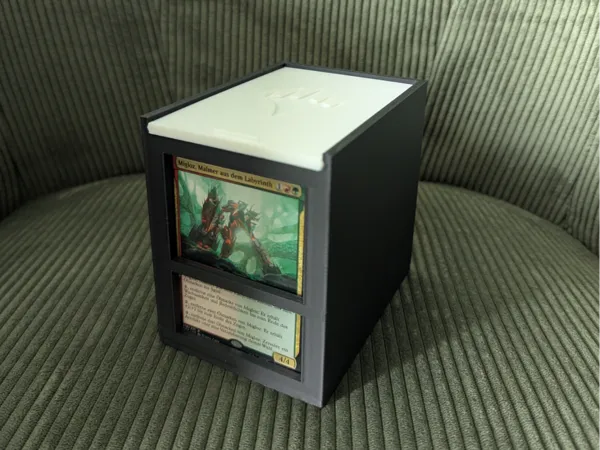 https://makerworld.bblmw.com/makerworld/model/USb554c789a5d99d/design/2025-02-02_a43a4040e062.jpg