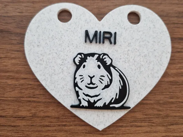 https://makerworld.bblmw.com/makerworld/model/USb5567ac9f176b0/design/2025-11-21_6f6dbe102b3a1.jpg