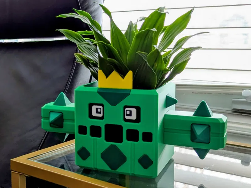 Cacnea planter - NO AMS