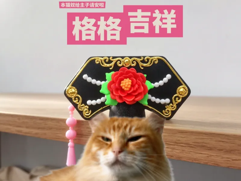 格格驾到！给猫主子请安啦~