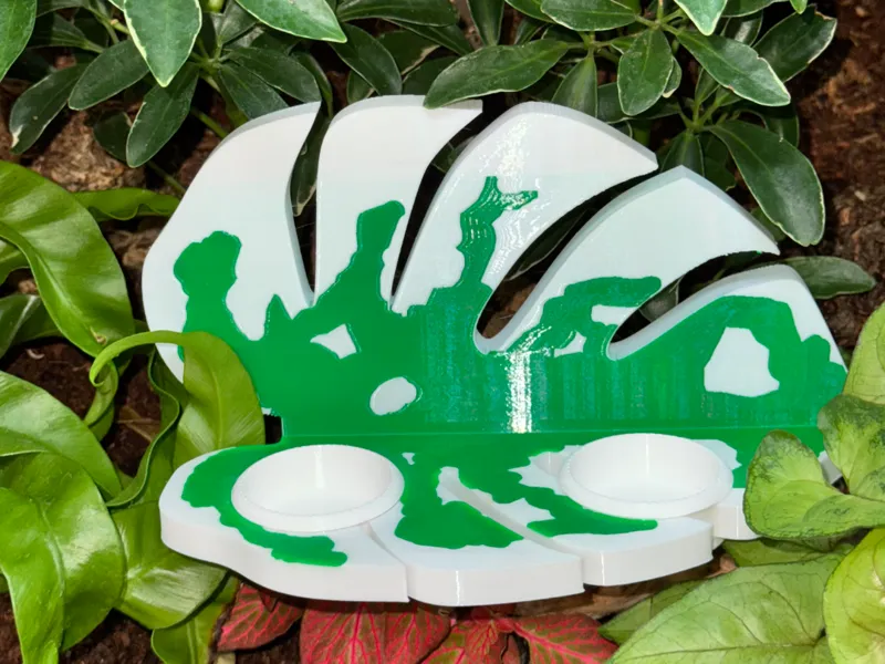 monstera leaf reptile feeder