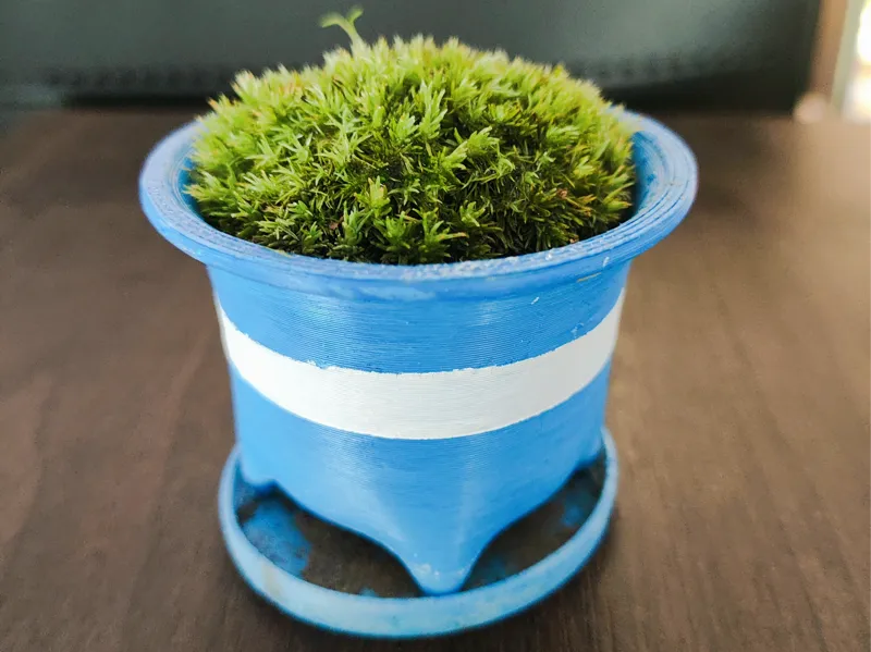 flower pot-迷你花盆