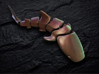 Articulated Flexi Shark