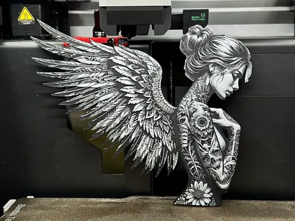https://makerworld.bblmw.com/makerworld/model/USb560f01c02d460/design/2024-11-27_d074fdf04c60a.webp