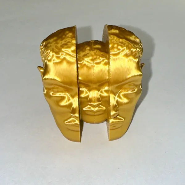 https://makerworld.bblmw.com/makerworld/model/USb561a6fb9f6349/design/2024-02-20_479dcbb4a7114.jpg