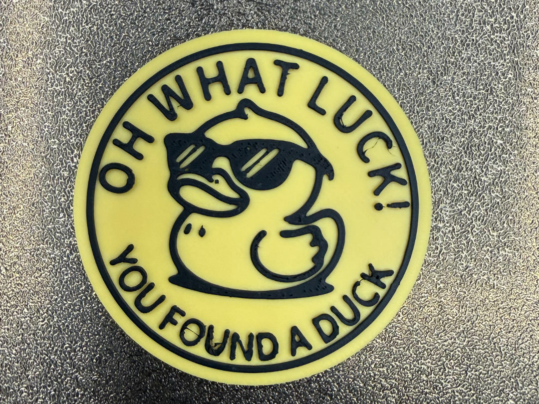 OH WHAT LUCK! YOU FOUND A DUCK - COIN QTY 5 