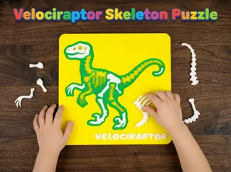Velociraptor Skeleton Puzzle. Educational Toy