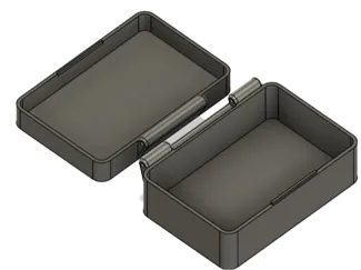 Case