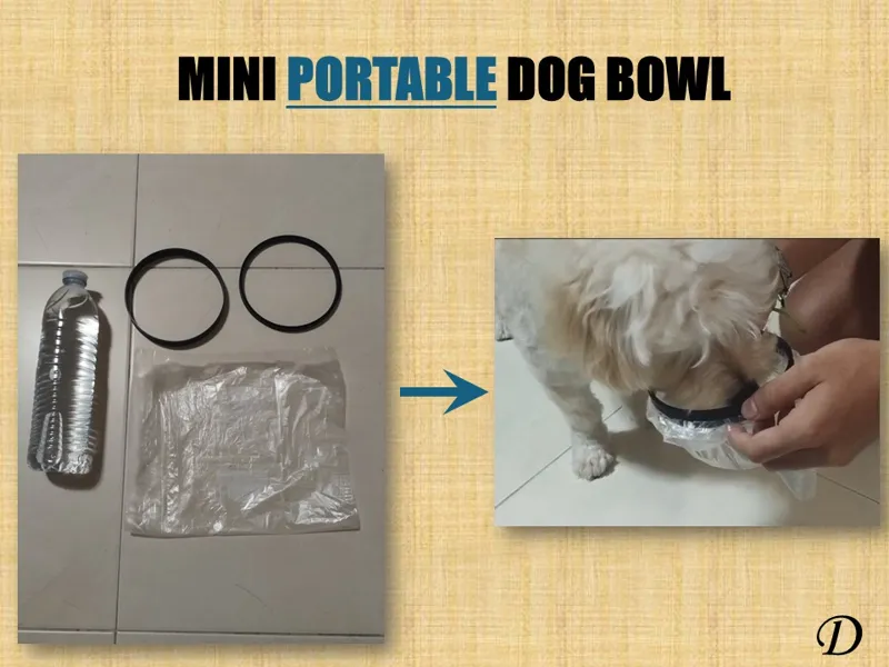 Mini Portable Dog Bowl