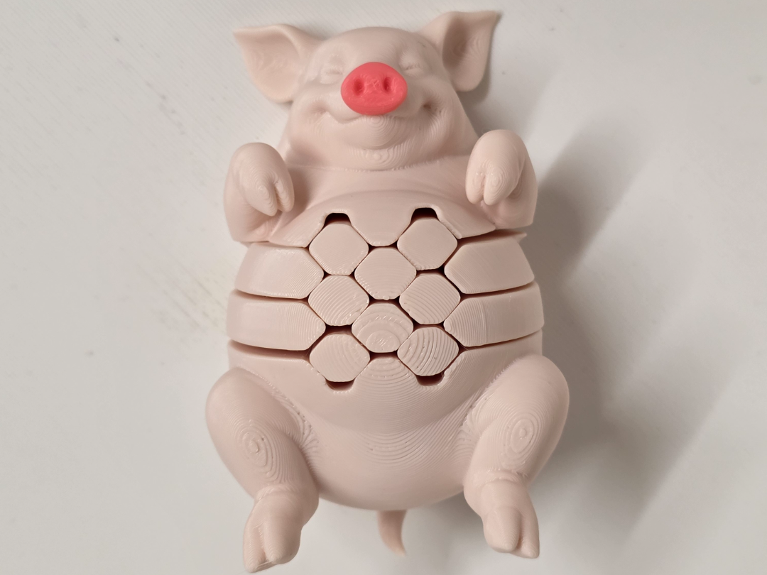 Flexi Pig