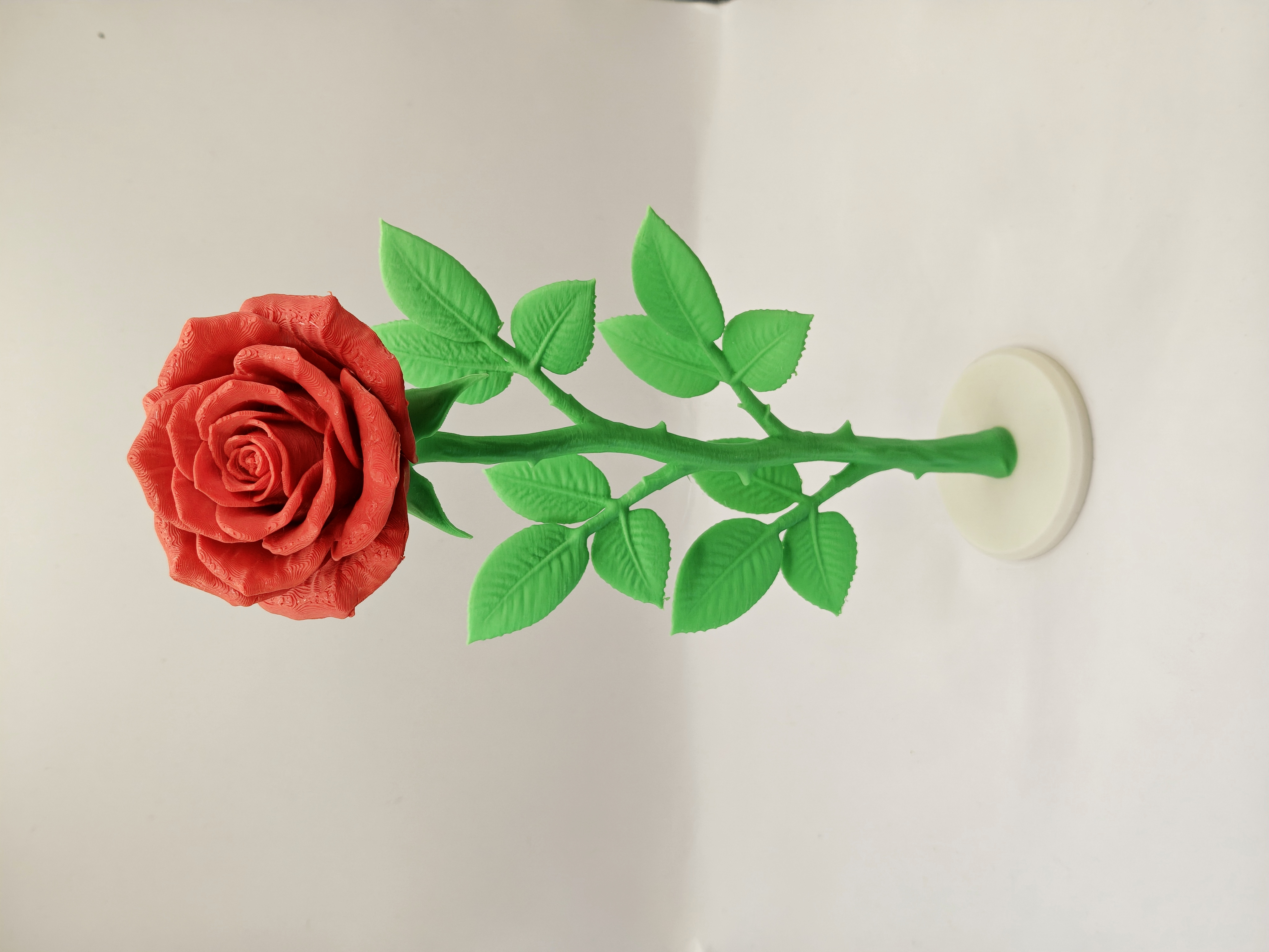Miniatura 2 do modelo 3D Detailed Rose