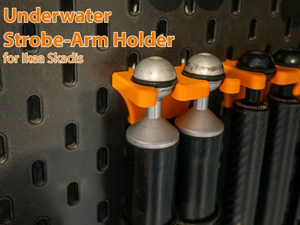 https://makerworld.bblmw.com/makerworld/model/USb5723623cf5965/design/2025-01-08_184ad95eab21f8.png