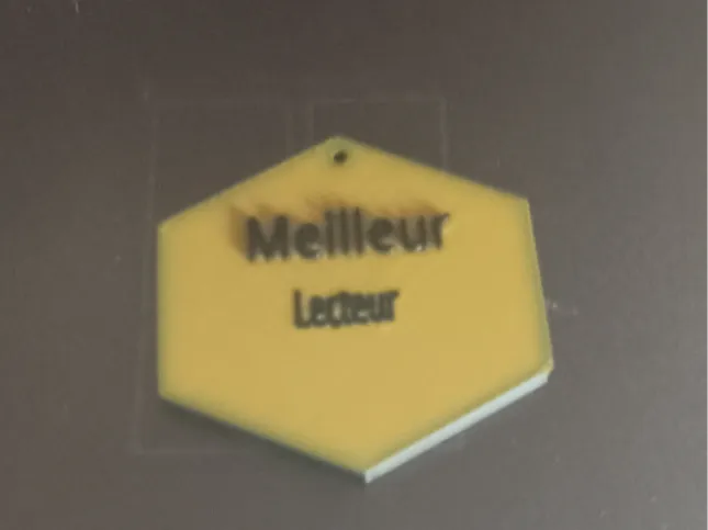 Médaille meilleur lecteur