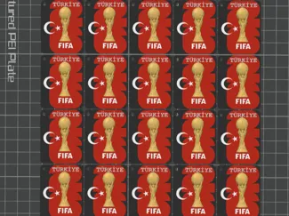 Türkiye FIFA CUP Anahtarlık