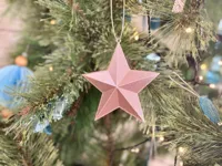 Étoile décorative à plat — photo 3