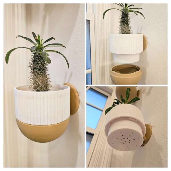 https://makerworld.bblmw.com/makerworld/model/USb57c36c693a1d3/design/2024-02-15_b6e3db21524ee.jpg