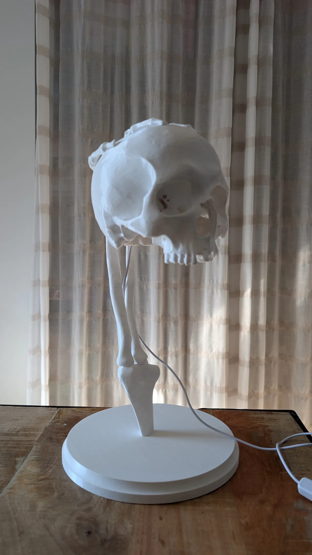 LED Kit 001 Skeleton Skull Lamp - 40CM view 3