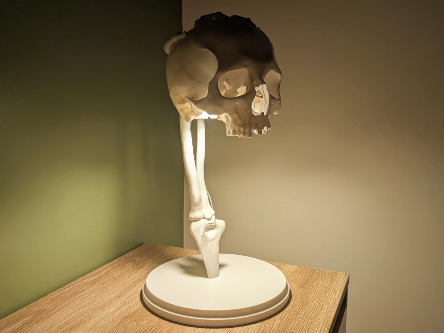 LED Kit 001 Skeleton Skull Lamp - 40CM