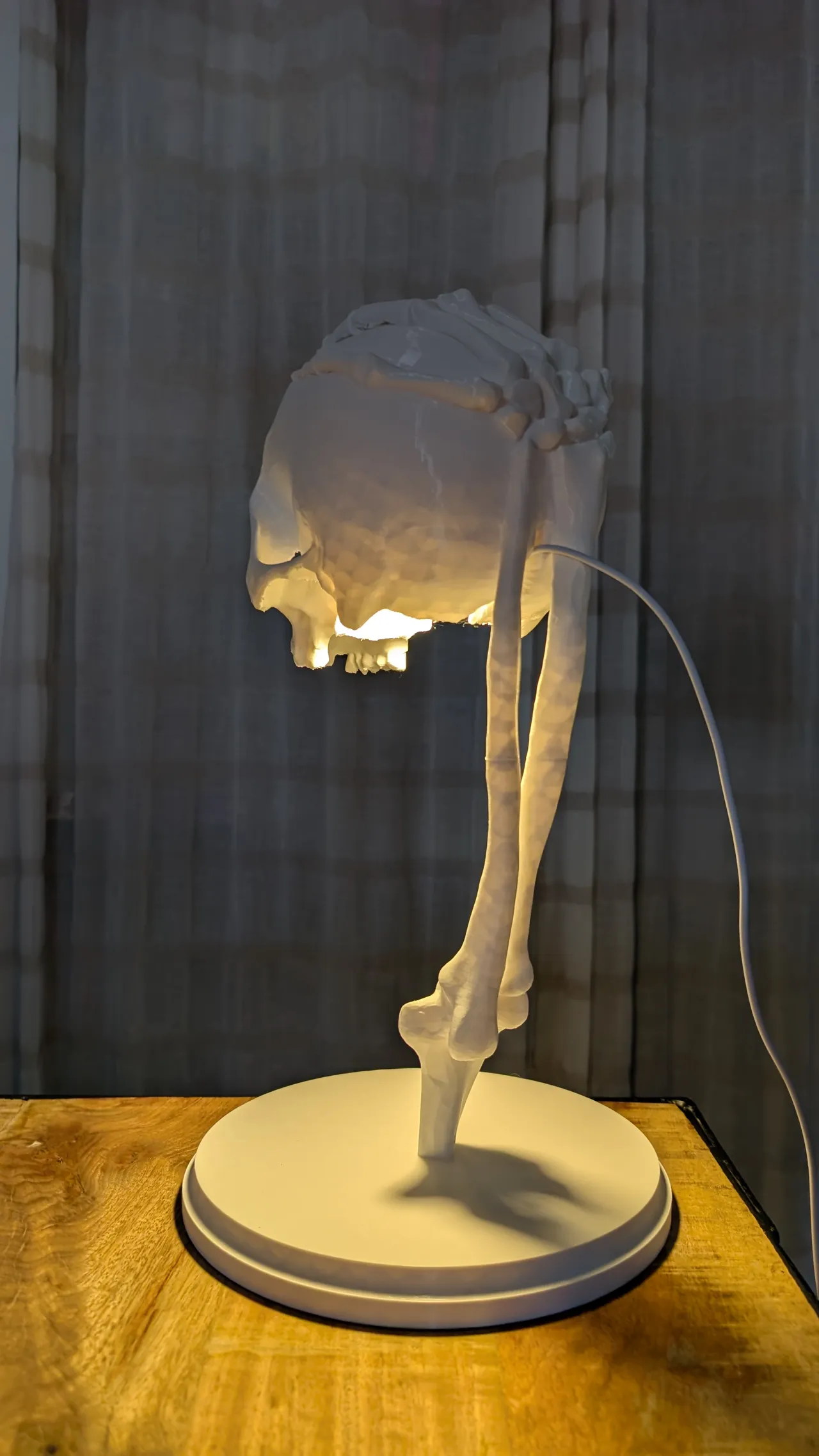 LED Kit 001 Skeleton Skull Lamp - 40CM view 4