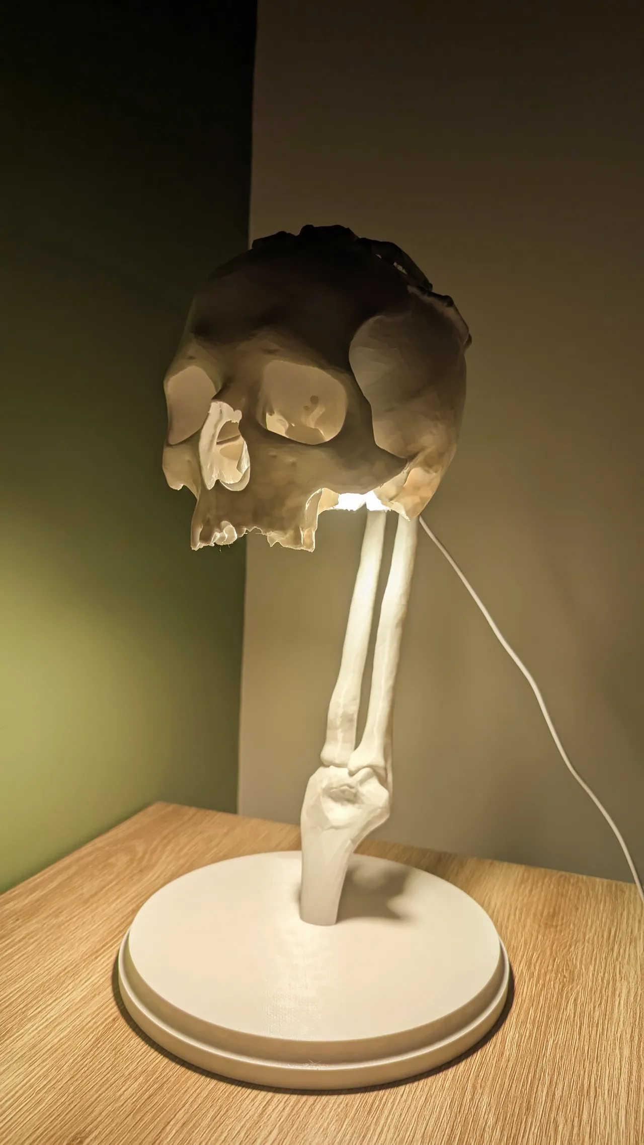 LED Kit 001 Skeleton Skull Lamp - 40CM view 2