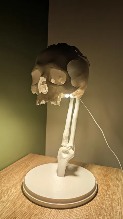 LED Kit 001 Skeleton Skull Lamp - 40CM view 2